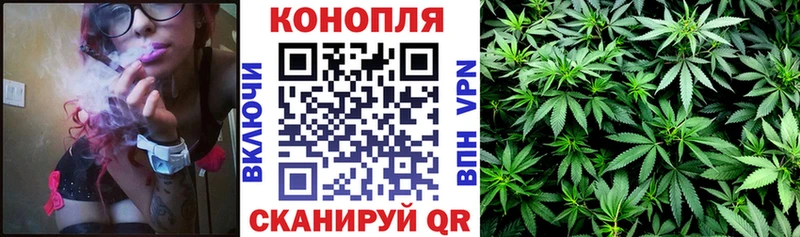 Альфа ПВП Опочка